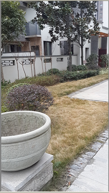 南山玉林实景图