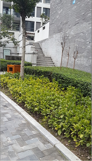 南山玉林实景图