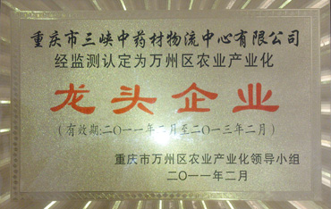 资质荣誉
