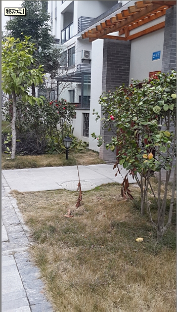 南山玉林实景图
