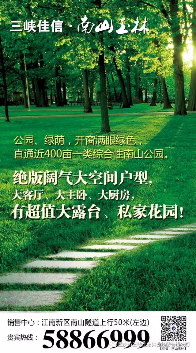 南山玉林：开窗满眼绿色……